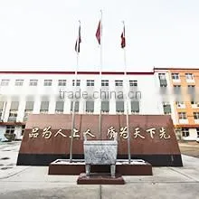Gaobeidian Zhangliuzhuang Runchao Bag Factory company overview - view 1