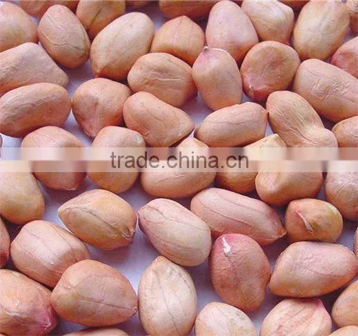supply all kinds of peanut and peanut product