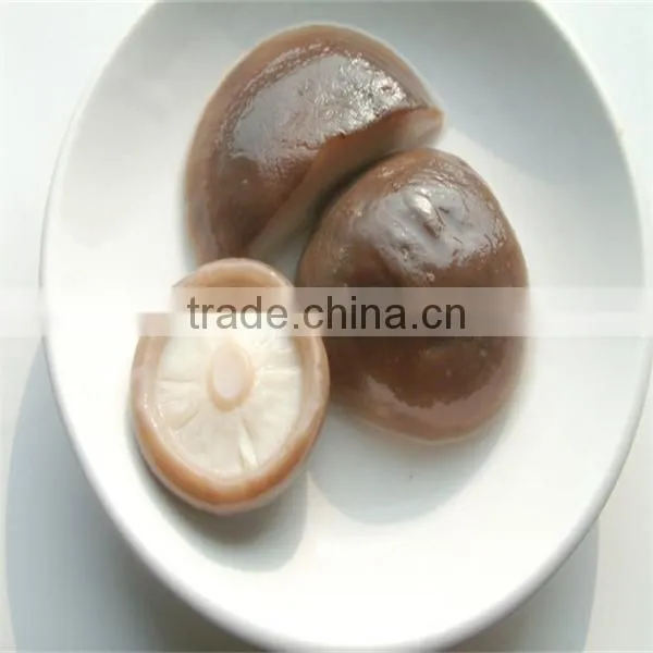 shiitake mushroom preserved mushrooms 1kg china supplier
