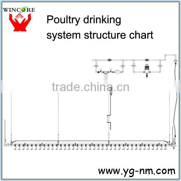 drinkers for chickens,automatic drinker for chicken