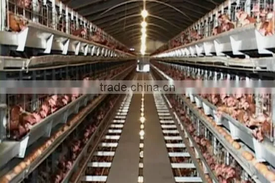 chiken egg poultry farm equipment/chicken cage for sale/automatic chicken layer cage