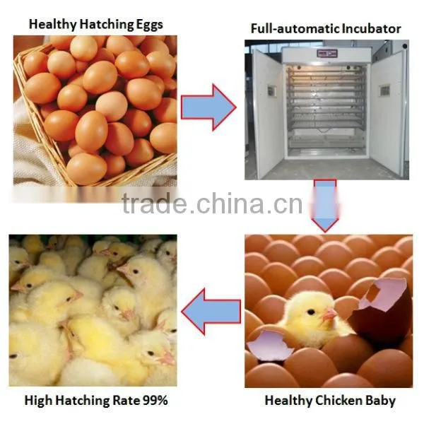Automatic 5280 eggs incubator, poultry egg incubators prices, used poultry incubator machine for sale