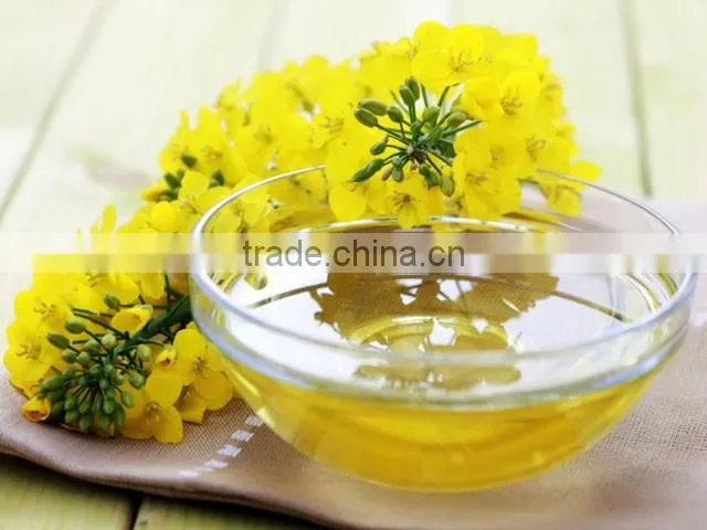canola oil press machine