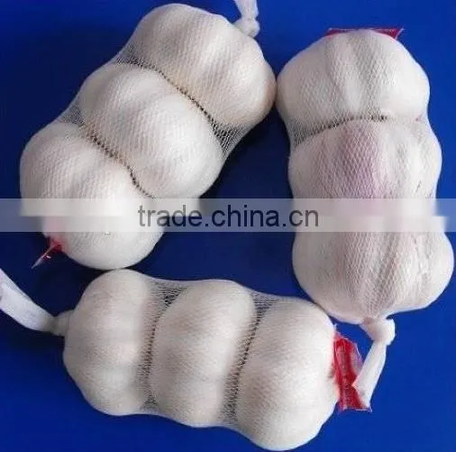 High quality Mashed garlic machine/Garlic grinding machine