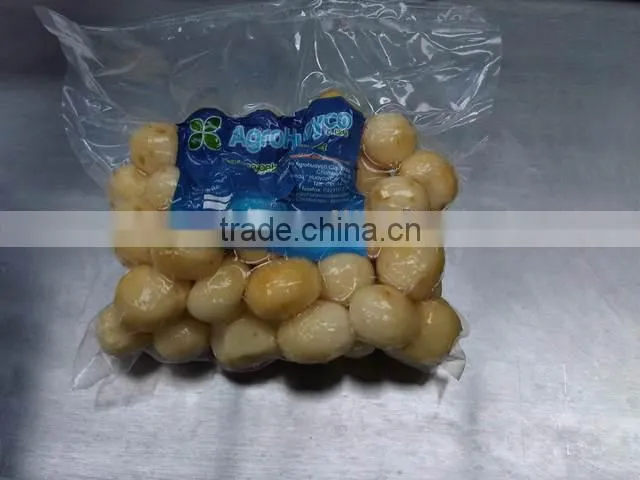 DZ500 Vacuum Packer/Meat Vacuum Packing Machine/Smoked Fish and sausage Vacuum Packing Machine/Dry Fish Vacuum Packing Machine