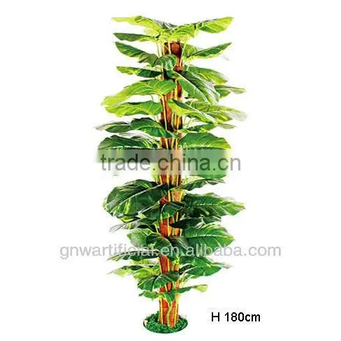 plant and tree nursery green mini plants indoor office GNW G120