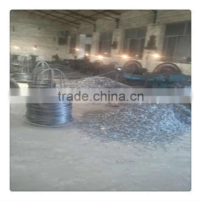 wood common nail/common iron nail/polished common nail factory nail