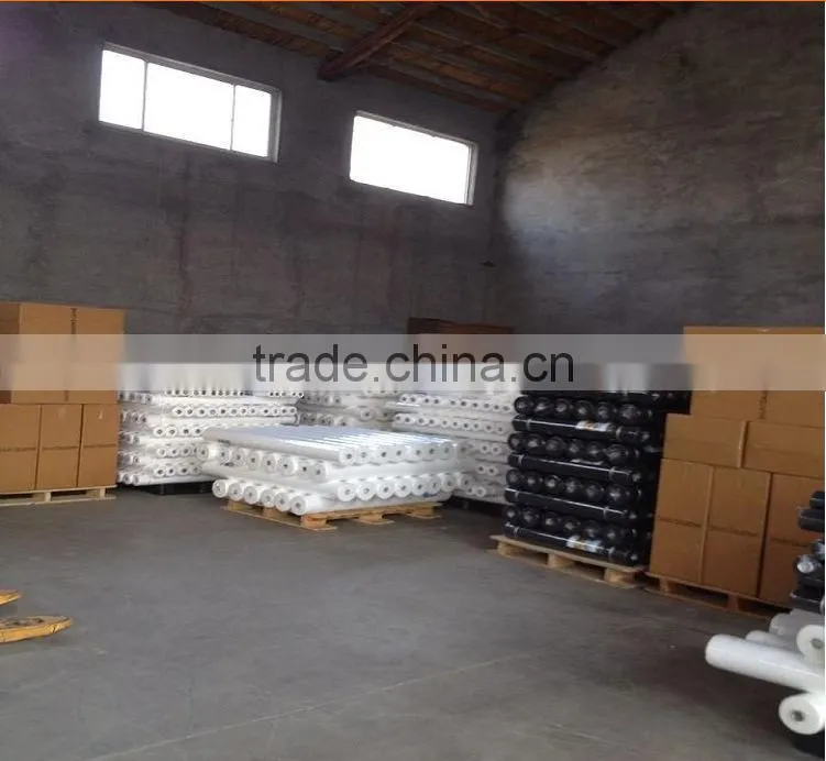 Steady Quality China Agricultural PP Non-woven Fabric,Crop Cover