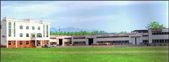 Lianyungang Donghai Danube Wood Products Co.,ltd. company overview - view 1