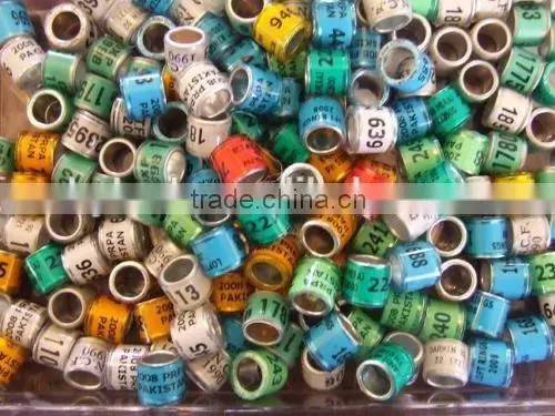 Rings Leg Bands for Pigeon
