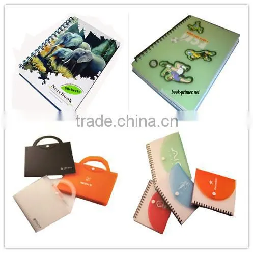 Cheap custom professional school 3ring notebook