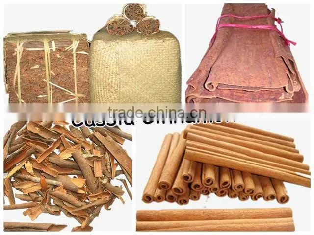 8-5 Cassia-Cinnamon Stick