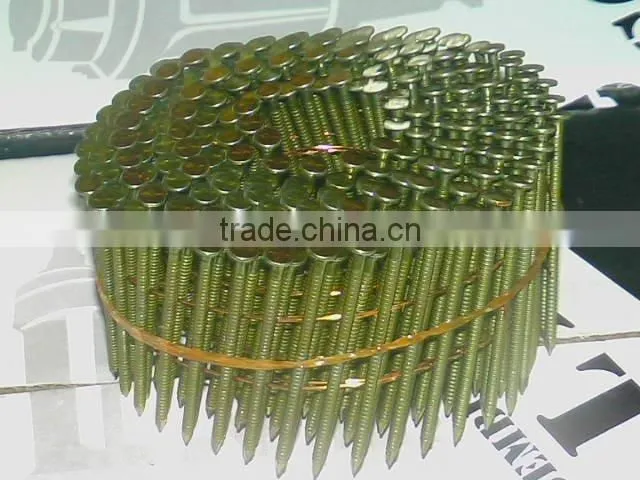 coil nail