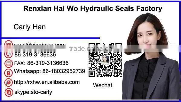 Hot sale and good quality NOK rod seal 100 120 12