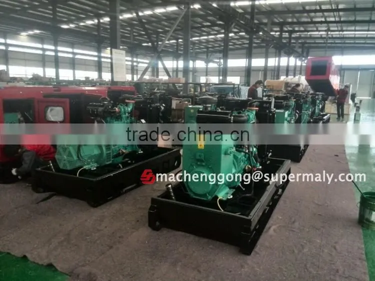 Ricardo Low cost reliable power generator