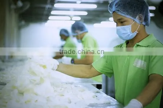 Manufacture Disposable Latex Examination Gloves Safety Medical Latex Gloves Malaysia