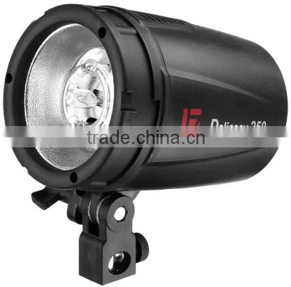JINBEI Professional Studio Flash 250W D-250 Kit 2, Photographic Flash Kit, Strobe Kit, Photographic Equipment