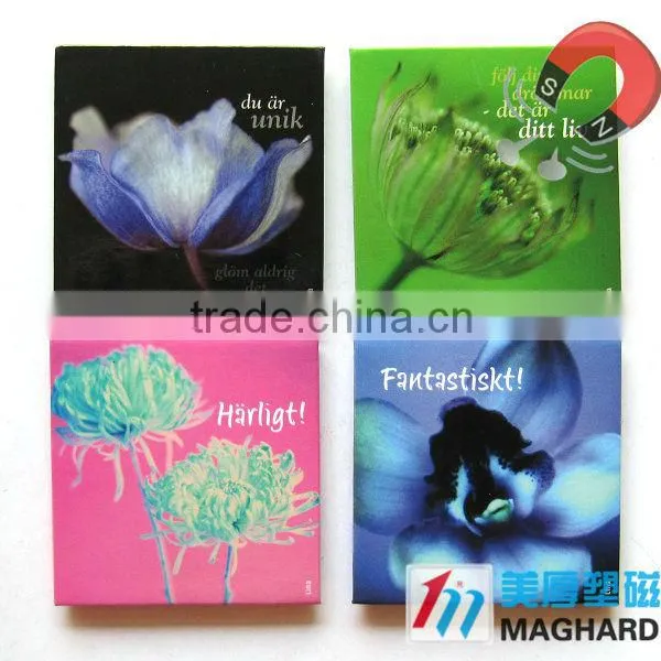 Indian tourist souvenir iron fridge magnets