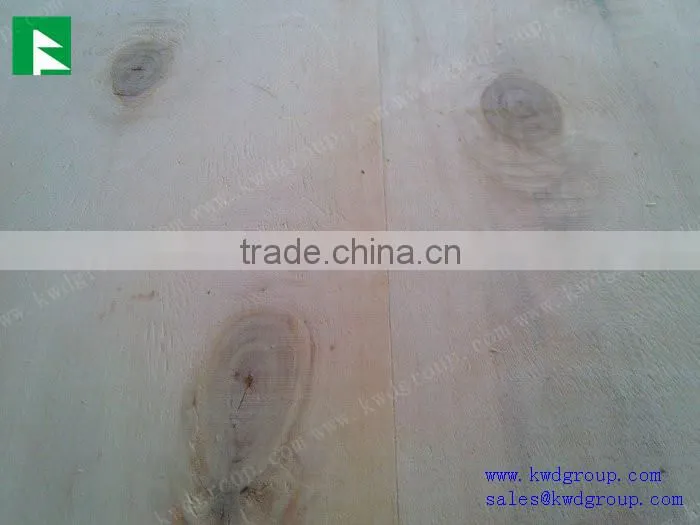 Poplar Plywood with a melamine face