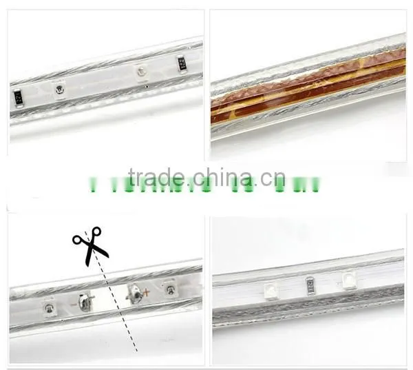Real Green Colorful Flexible Led Strip Light SMD5050 with 60 LED Per Meter 12V/110V-120V/220V lighting