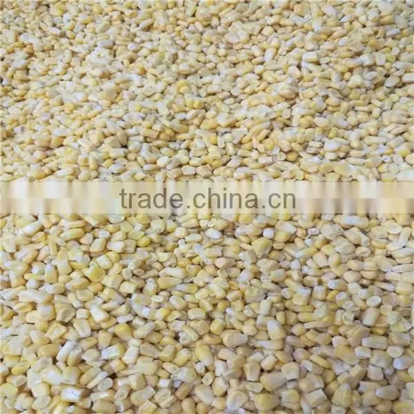 IQF Frozen Sweet Corn Whole Kernels