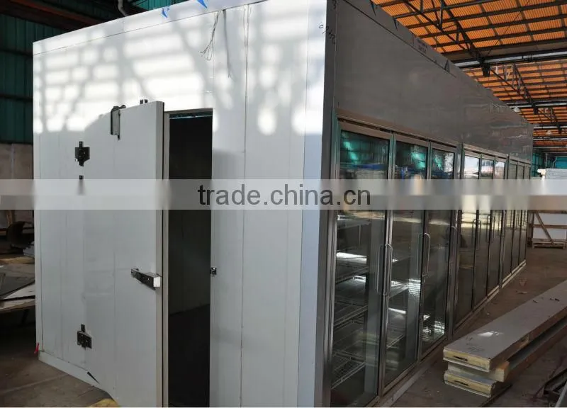 Polyurethane insulated glass door freezer storage supermarket cold room
