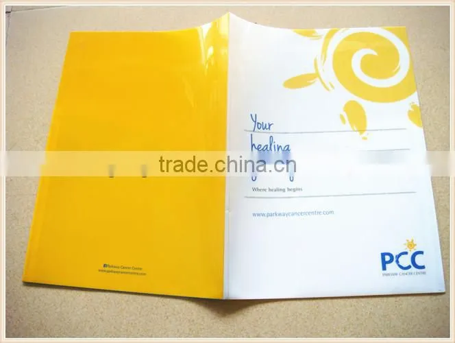 2014 Shenzhen Supplies Hight Quality Plastic Expandable File Folders