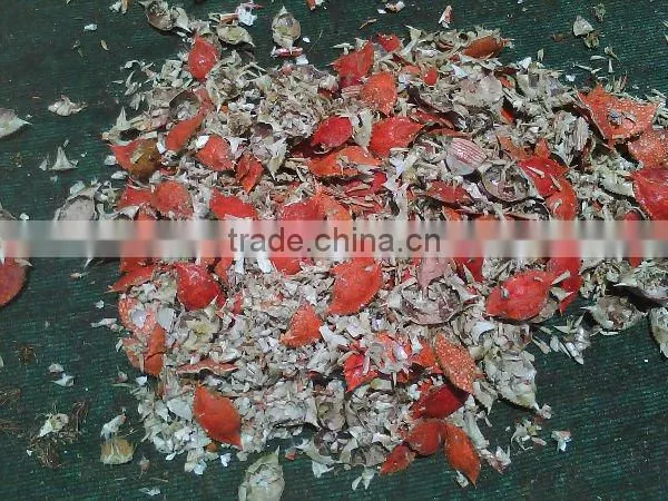 Sun Dried Shrimp Shell /Crab Shell Shrimp Shell Dried Shrimp