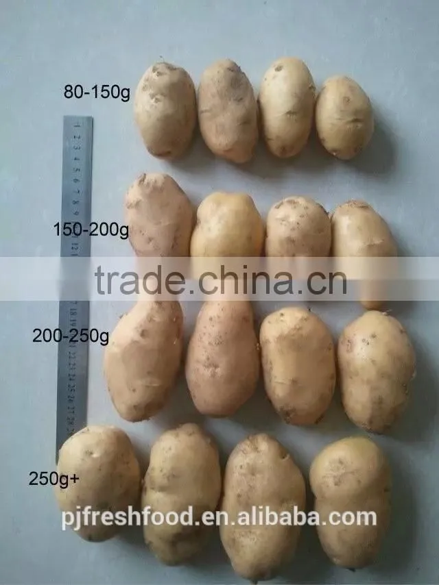 2015 Autumn Crop Potato