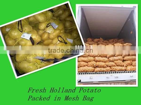 fresh preserved potato