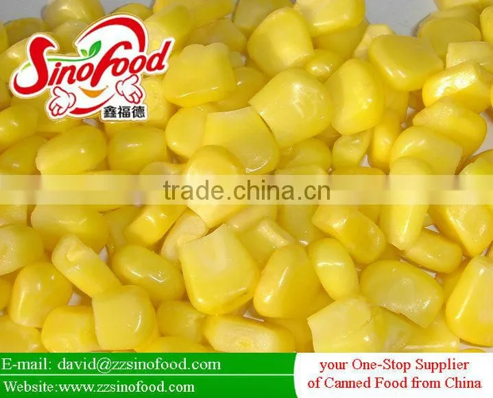 Canned Sweet corn in Brine Factory in China