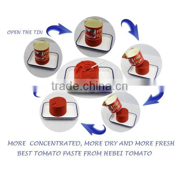 tomato paste with red color