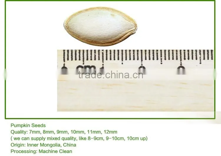 wholesale RAW pumpkin seeds ton price