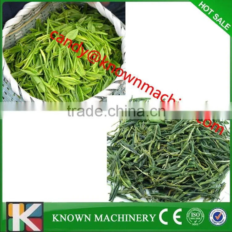 tea leaf cutting machine,green tea twisting machine