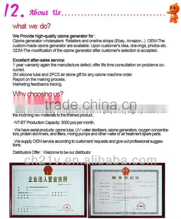 Hot! 2g ceramic ozone generator for drinking water