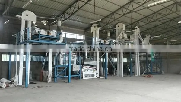 Cereal Grain Barley Seed Processing Plant (hot sale in Australia)