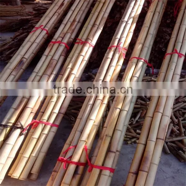 bamboo canes / pole