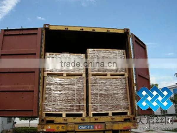 Galvanized iron nails (factory)