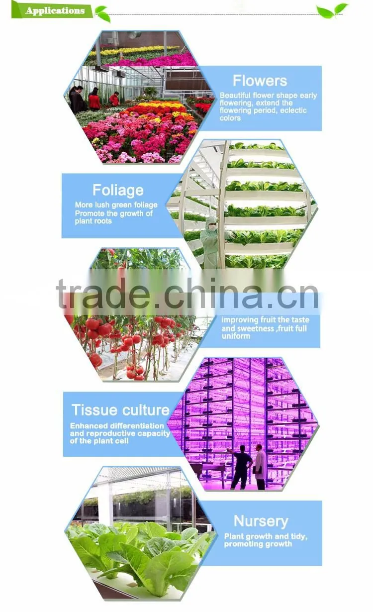 Low Price Aaa Quality High Power 60 Watt Par Light From Shenzhen Factory