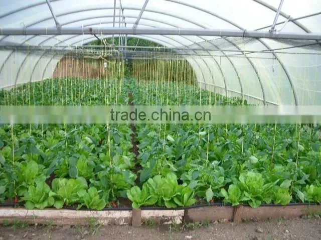Cheap Tunnel Vegetable Greenhouse With Shading Screen