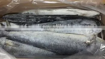frozen mahi mahi fillet skin on coryphaena hippurus