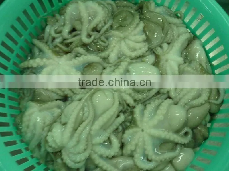 FROZEN BABY OCTOPUS FRESH