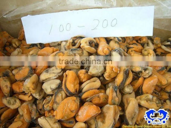 fresh frozen cooked mussel meat seafood