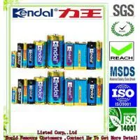 Guangdong Liwang New Energy Co.,ltd company overview - view 1