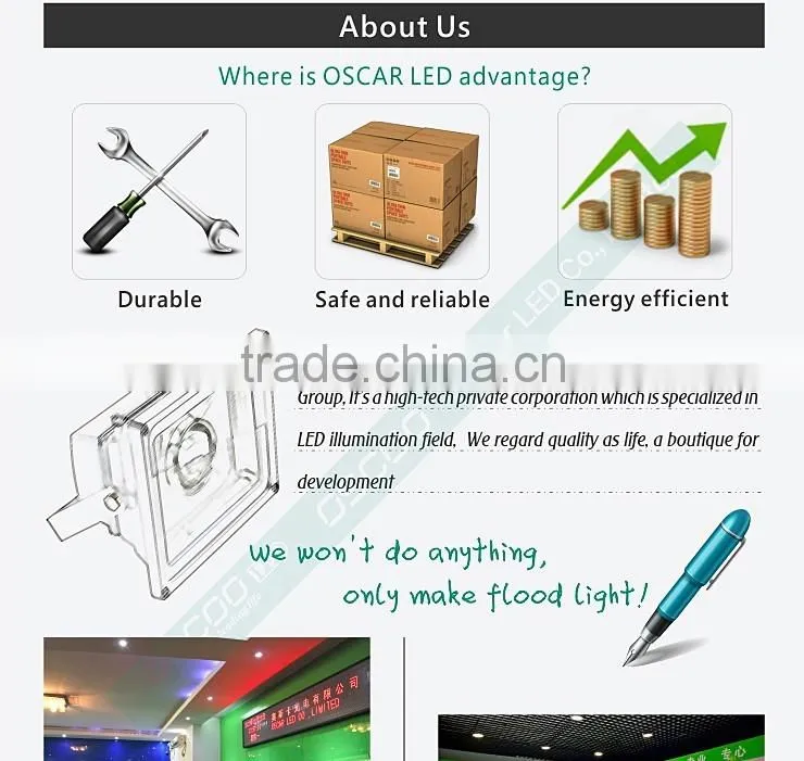 Shenzhen Oscar LED Supply you IR Sensor LED flood light series landscape light garden yard lamp 30W (10w 20W 30W 50W)