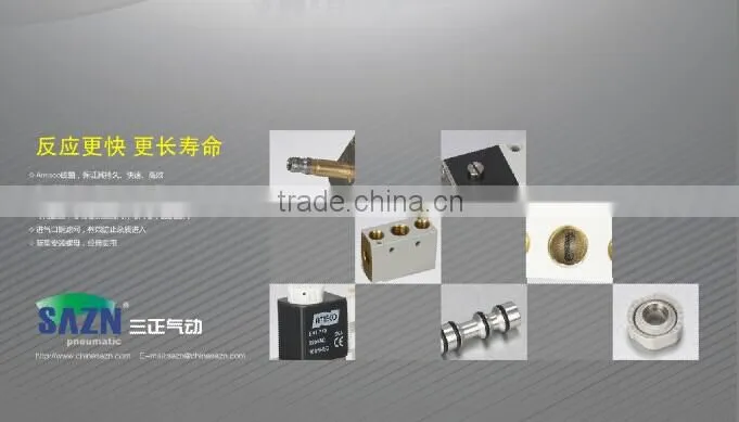 Stainless Steel Water Solenoid Valve(2W)