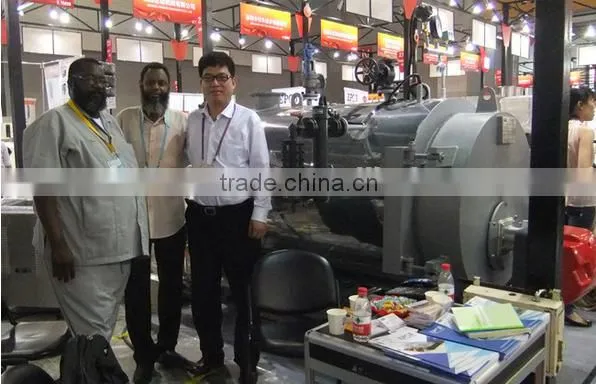 2016 Competitive Price Chain Grate Coal Thermal Oil Boiler