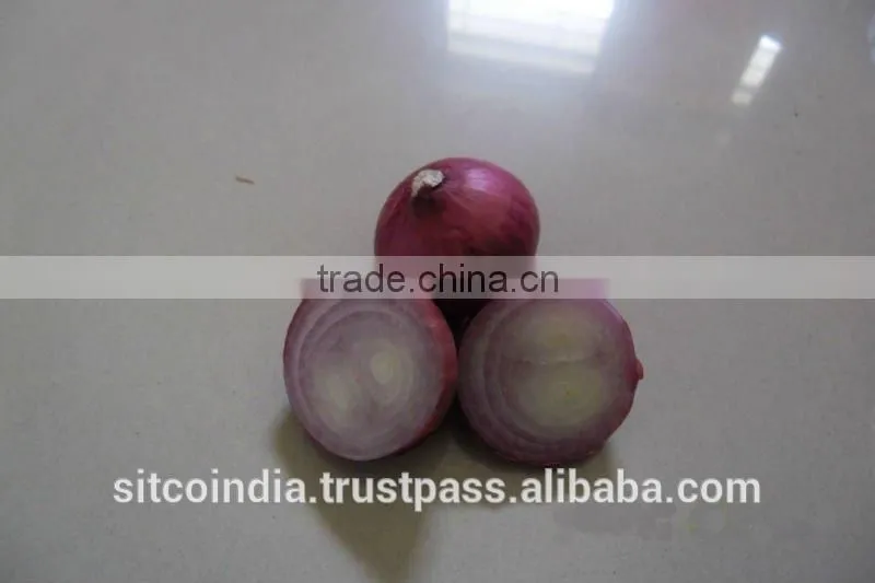 Onion from Nasik,India