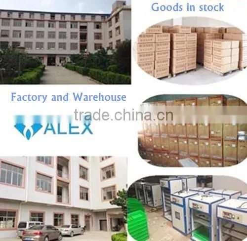 High quality poultry Incubator for sale hatching 56 eggs incubator