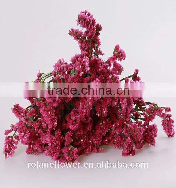 kunming flower exporter dark red statices flowers for home decoration